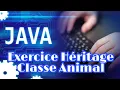 JAVA 19 Heritage - Exercice Classe Animal Paris 1 Sorbonne