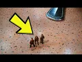Download Lagu Honey, I Shrunk the Kids (1989): 20 Weird Facts You Didn’t Know!