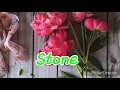 Stone - Alessia Cara Ft Sebastian Kole