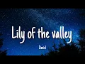 Lily of the Valley - Daniel | Lyrics [+ ROMANIZATION]