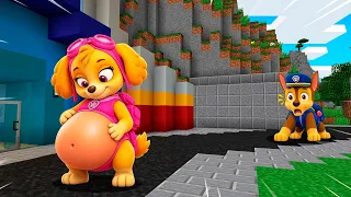 CHASE DE PAW PATROL DESCUBRE A SKYE EMBARAZADA EN MINECRAFT 😱