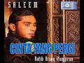 Download Lagu Saleem iklim Cinta Yang Pergi