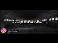 #TRENDIN#STORYWA Story WA Faded || Ungkapan (Alan_Walker)