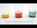 Explore Enzymes STEM Activity