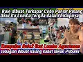 Download Lagu Lucu💥Bule ikut lomba Agustusan, Terkapar lawan Pribumi, katanya lomba itu terlalu gila
