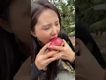 Download Lagu Ik zal niet toestaan ​​dat mijn appel je breekt #ikhebditdingmetplanten #versvandeboerderij