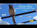 Download Lagu Chris Rea - When the Grey Skies turn to Blue 2023 HD 4k