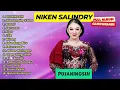 Download Lagu NIKEN SALINDRY FULL ALBUM CAMPURSARI DANGDUT KOPLO SRAGENAN TERBARU