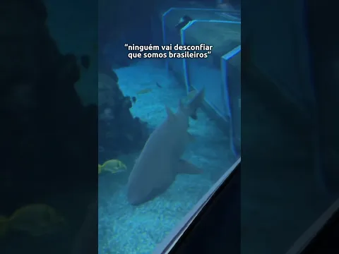 ninguém vai descobrir kkkkk
