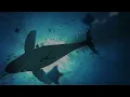Post Malone ft 21 Savage - rockstar outro looped part 432hz