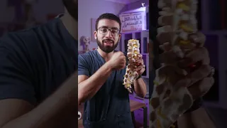 أشهر أسباب ألم أسفل الظهر   ضعف هذه العضلات   دندنها