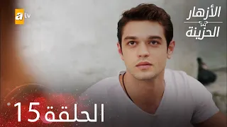 الأزهار الحزينة الحلقة 15 كاملة Kırgın Çiçekler 