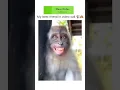 Download Lagu best friend funny status #sorts #funnyshorts