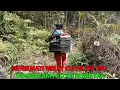 ginap dihutan belantara sumatra sambil mikat burung cucak ijo big
