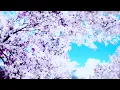 Download Lagu Lind Erebros - Flowers Battlefield [Slowed N Reverb]
