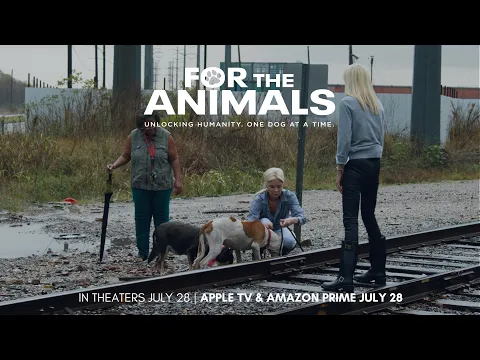 FOR THE ANIMALS [OFFICIAL TRAILER] - a powerful documentary about the stray animal crisis