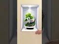 Transform Boring Walls in Minutes 3-Piece 3D Potted Plant Wall Decals