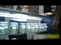 Illegal pot dispensaries brazenly operating in East LA unlicensed no taxes no regulations