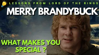 Episode 2 Are You Special Like Merry Brandybuck