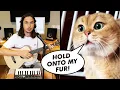 Download Lagu The Kiffness x Oh Long Johnson 2.0 - Hold Onto My Fur (Talking Cat Song)