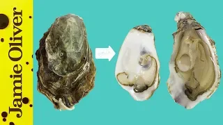 How To Open Oysters 1 Minute Tips Bart s Fish Tales