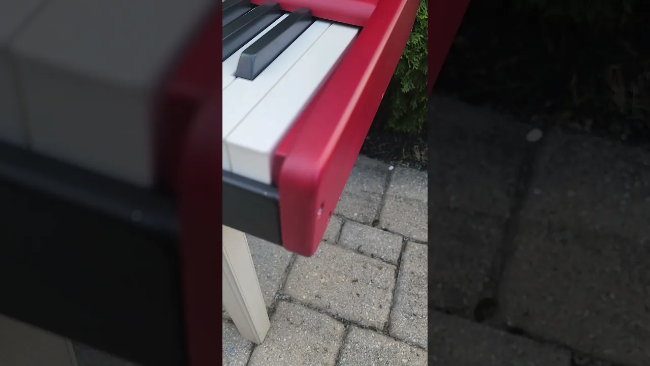 Nord Stage 4-88 Video Showing B Stock Blemishes