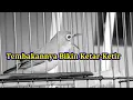 pleci tembakan mematikan lawan