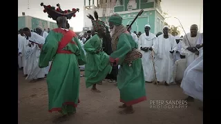 أولاد الشيخ البرعي ـ مدائح الشيخ الفاتح ـ أنا أنا في التأسي دبمة دليلي واضح 