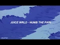 Lagu Juice WRLD - Numb the pain (lyrics \u0026 español)