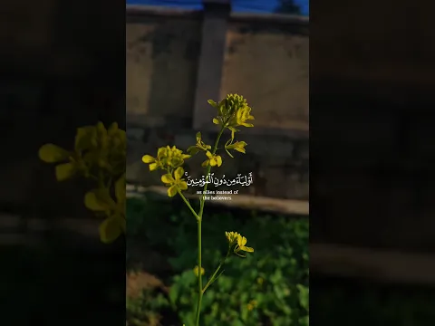 Deeply Emotional Quran Recitation to Melt Your Heart 💞❤️❤️#Quran #QuranRecitation #IslamicReminder