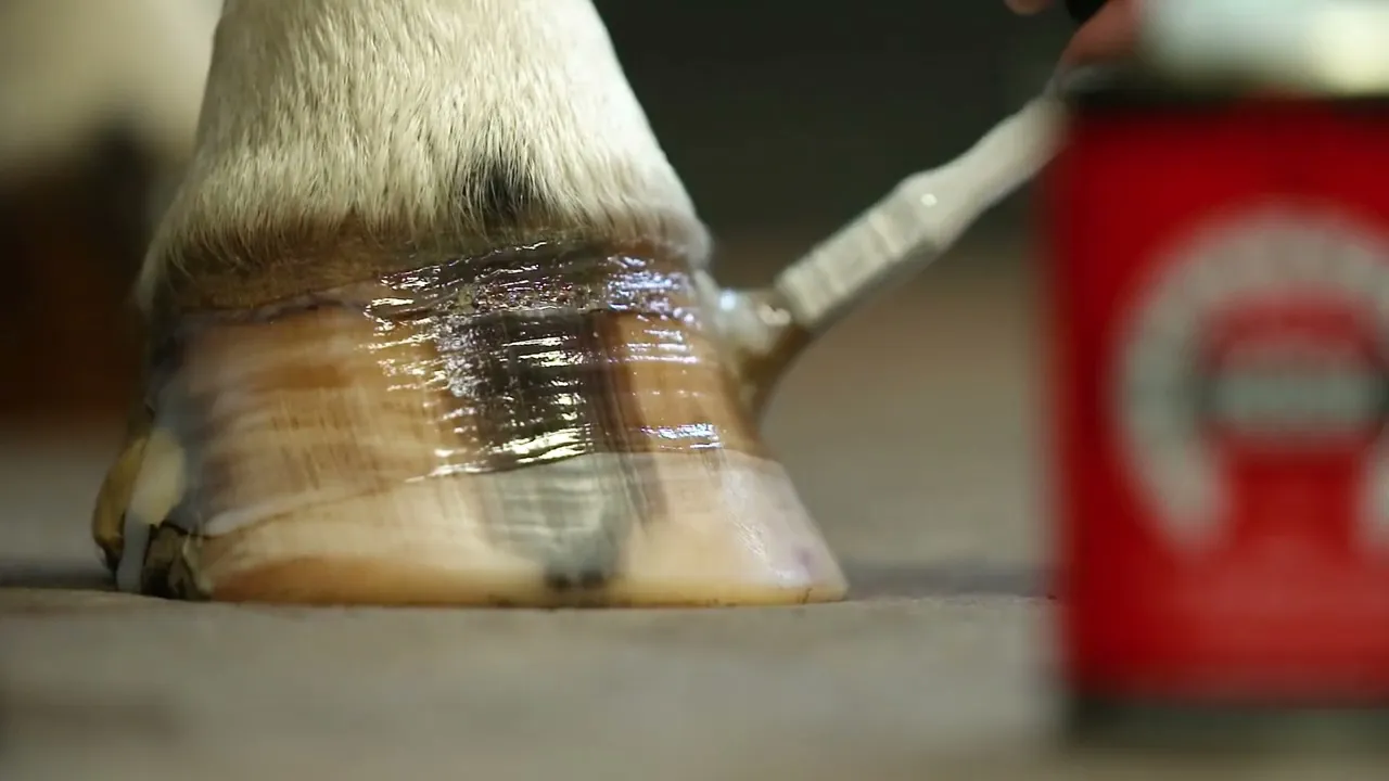 CDM Daily Hoof Barrier