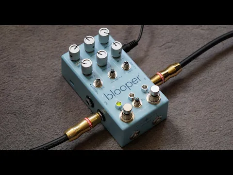 Chase Bliss Audio Blooper | Delicious Audio