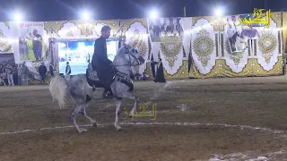 رقص بالحصان على المزمار البلدي من مهرجان البحيره دندنها