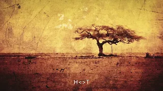 vida soul eccordion original mix 
