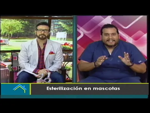 Esterilización de mascotas