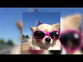 Ohne Benzin - speed up