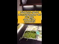 nhà hàng thái đà nẵng Update Đến Đà Nẵng ăn Lẩu Thái ở đâu là ngon ta ? Mor Fai Hot Pot - lẩu thái 6 vị Đà Nẵng