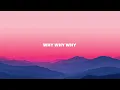 Shawn Mendes - Why Why Why (Lyrics)