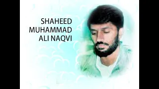 shaheed dr muhammad ali naqvi founder of iso pakistan urdu 