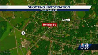 West Pelzer Shooting investigation