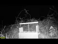 The Armadillo Trap in Action