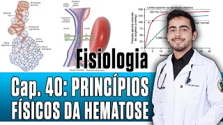 Fisiologia - Princípio Físico das Trocas Gasosas (Capítulo 40) │ Guyton