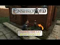 How to Tame the Cat in Enshrouded - Step-by-Step Guide