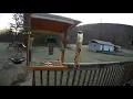 Squirrel Shocker