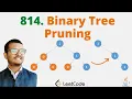 814 Binary Tree Pruning Java Leetcode Hindi