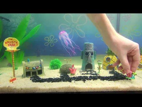 Download MP3 SpongeBob aquarium. DIY.