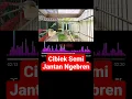 Lagu Ciblek Semi Jantan Ngebren #shorts #ciblek #ciblekkristal #cibleksemi #masteranmurai #bird #burung