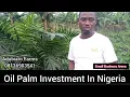Download Lagu Budidaya Pohon Kelapa Sawit dan Investasi di Nigeria #Oilpalmfarming