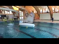 Download Lagu Optimist sailing on Gstaad indoor pool
