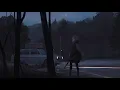[Lo-Fi Hip-Hop] Tom Doolie - Stay and Wander